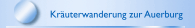 Kr&auml;uterwanderung zur Auerburg