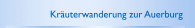 Kr&auml;uterwanderung zur Auerburg